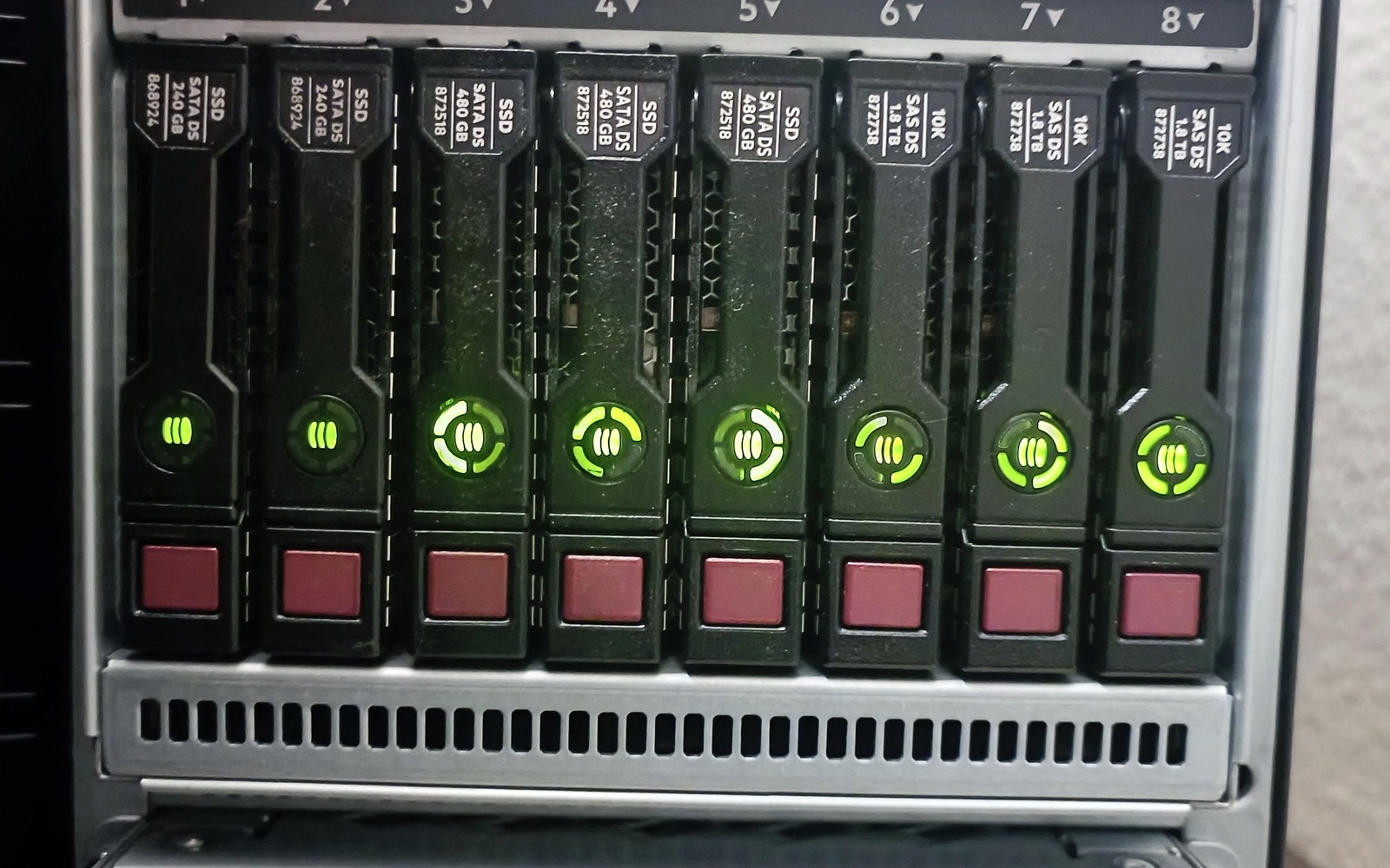 Acht Laufwerkseinschübe eines Servers, alle Statusanzeigen leuchten grün.