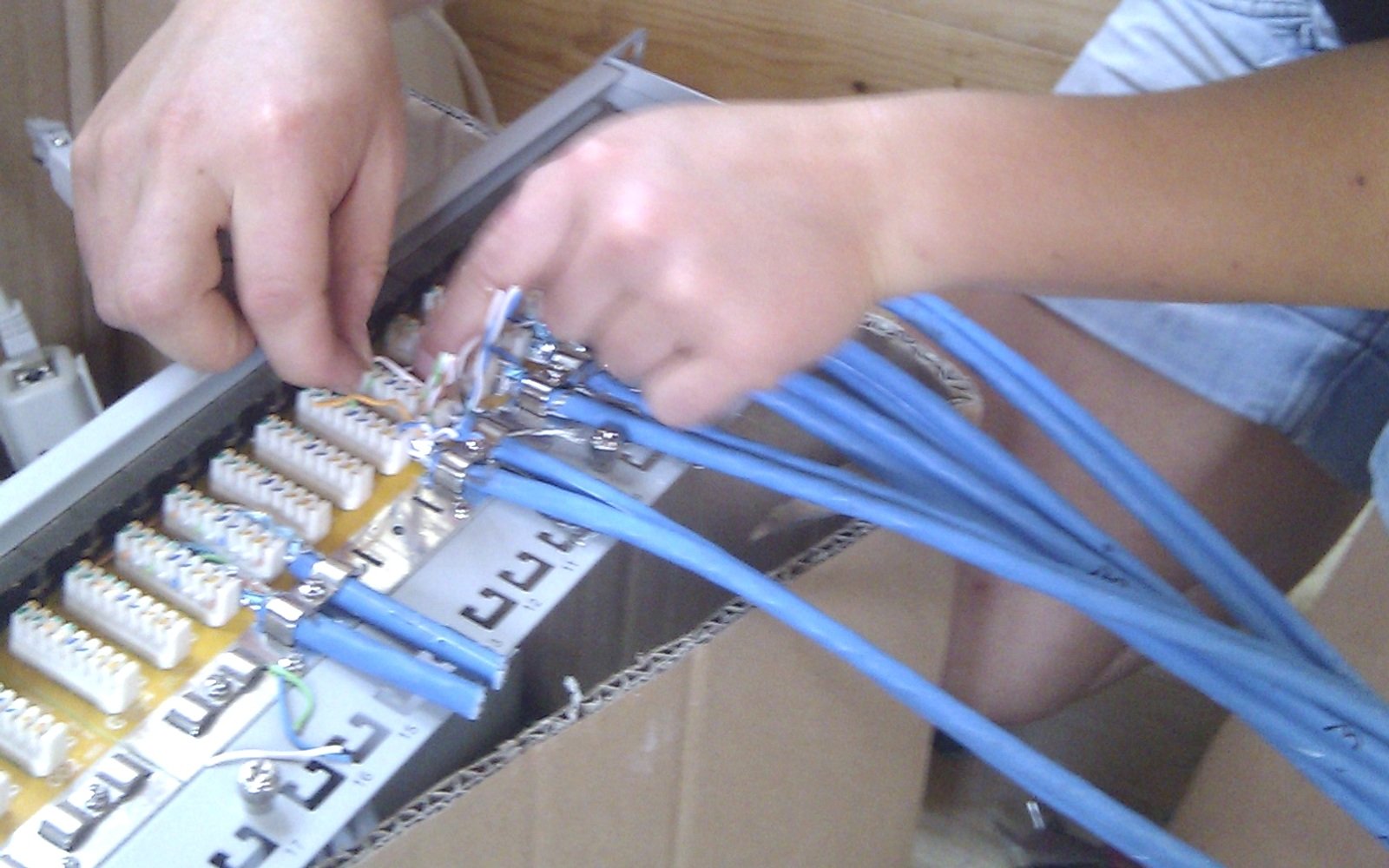 Hände legen blaue Netzwerkkabel auf ein Patchfeld auf.